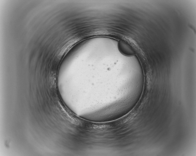 X0000102521225200808291749