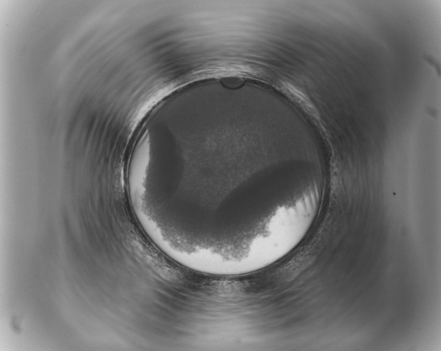 X0000102521226200808291749