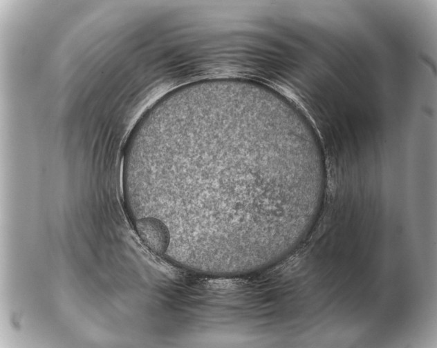 X0000102521227200808291749