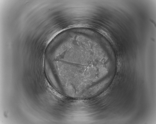 X0000102521228200808291749