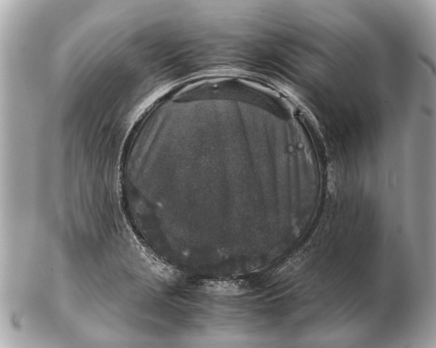 X0000102521229200808291749