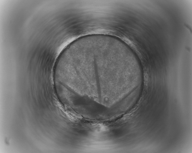 X0000102521230200808291749