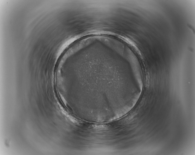 X0000102521231200808291749