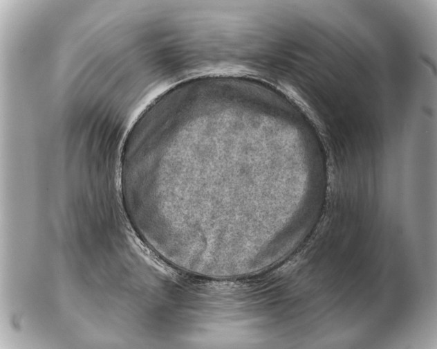 X0000102521232200808291749