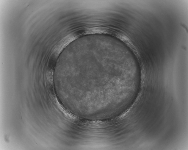 X0000102521233200808291749