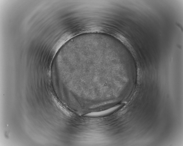 X0000102521234200808291749