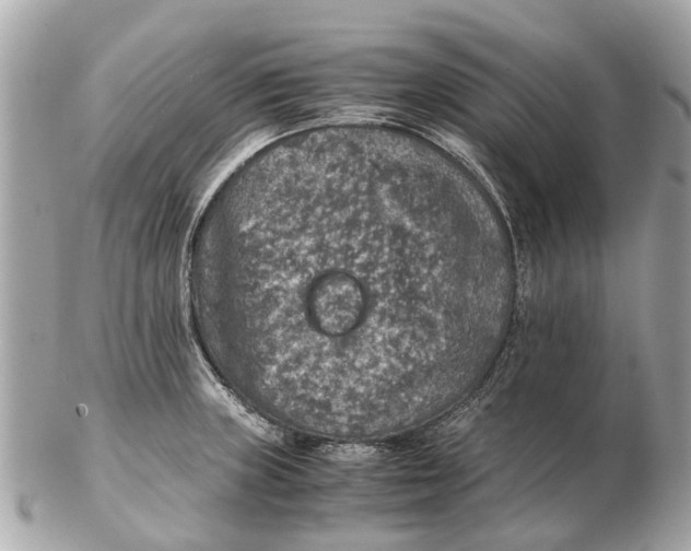 X0000102521235200808291749