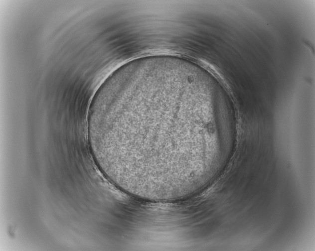 X0000102521236200808291749