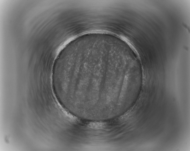 X0000102521237200808291749