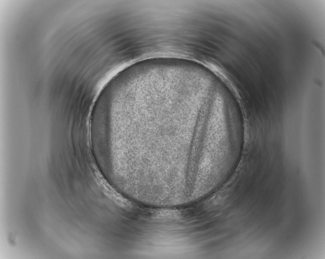 X0000102521238200808291749