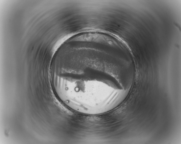 X0000102521239200808291749