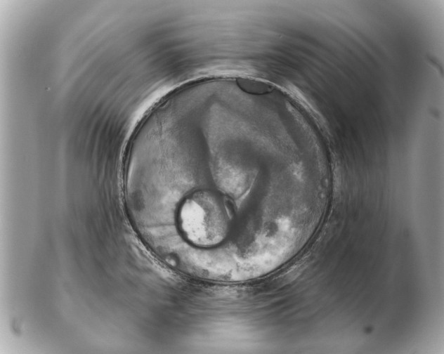 X0000102521240200808291749