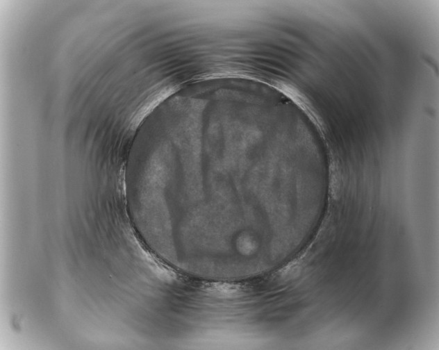 X0000102521241200808291750