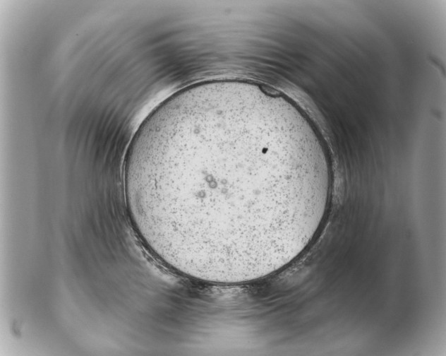 X0000102521242200808291750