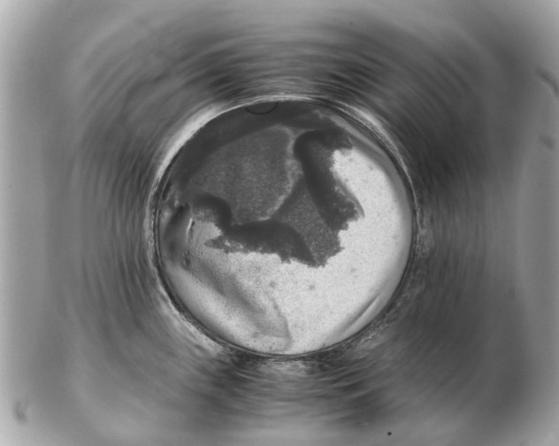 X0000102521243200808291750