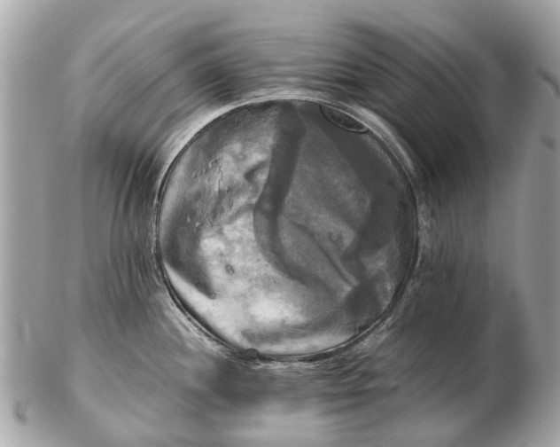 X0000102521244200808291750