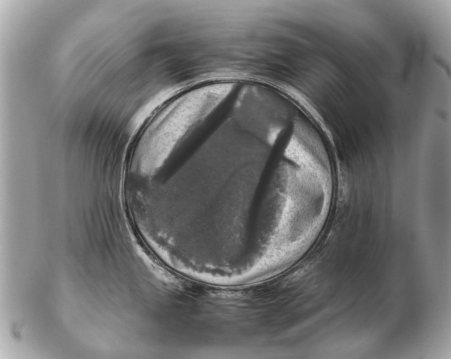 X0000102521245200808291750