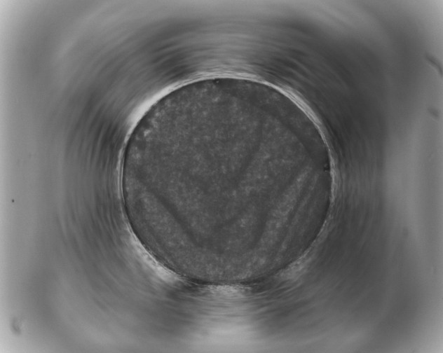 X0000102521246200808291750