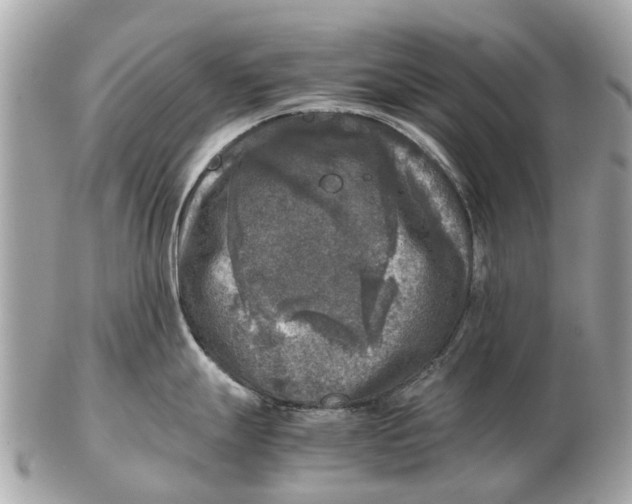 X0000102521247200808291750