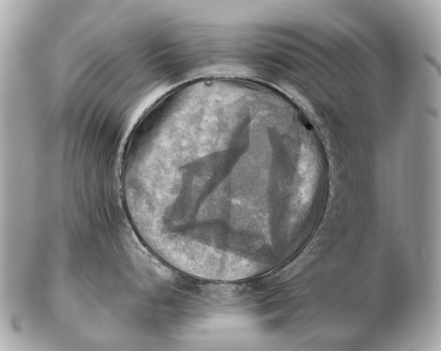 X0000102521248200808291750