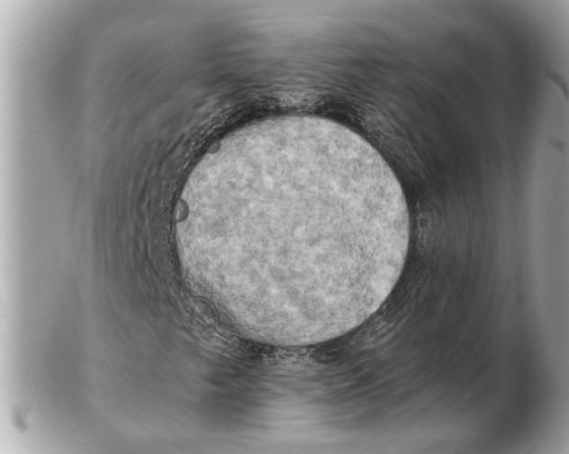 X0000102521249200808291749