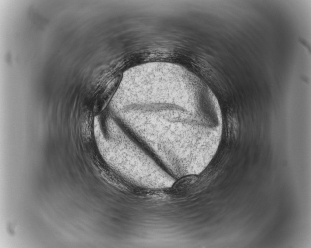 X0000102521250200808291749