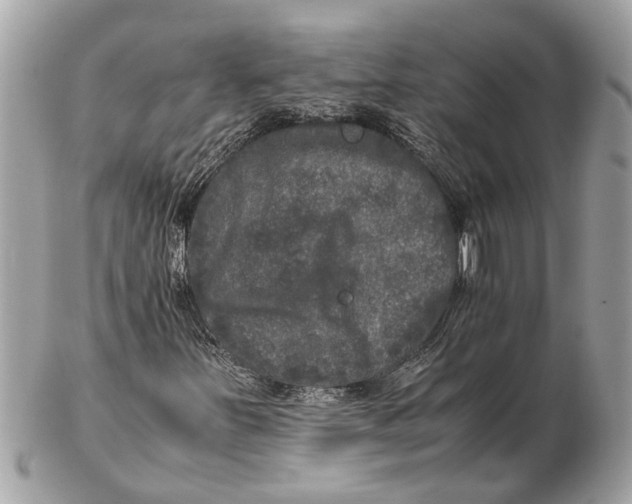 X0000102521251200808291749