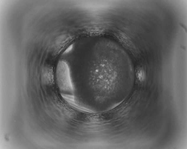 X0000102521252200808291749