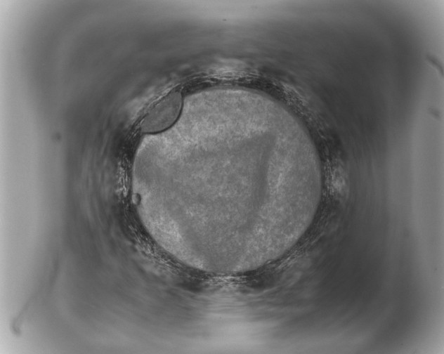 X0000102521253200808291749