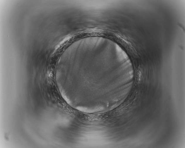 X0000102521254200808291749