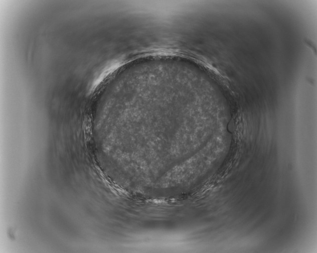 X0000102521255200808291749