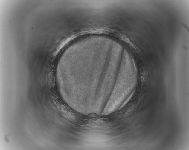 X0000102521256200808291749