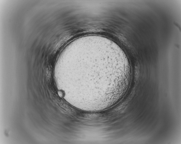 X0000102521257200808291749