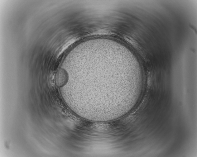 X0000102521258200808291749