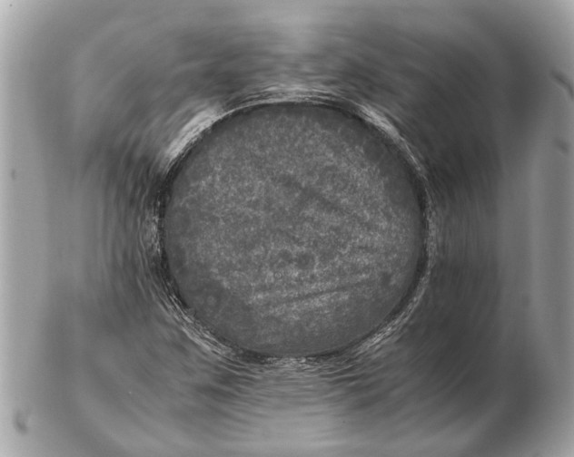 X0000102521259200808291749