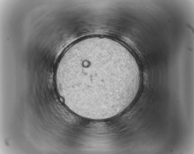 X0000102521260200808291749