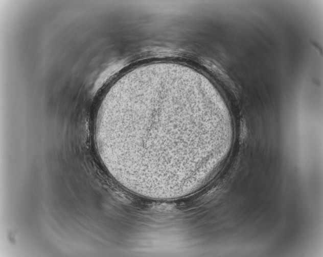 X0000102521261200808291749