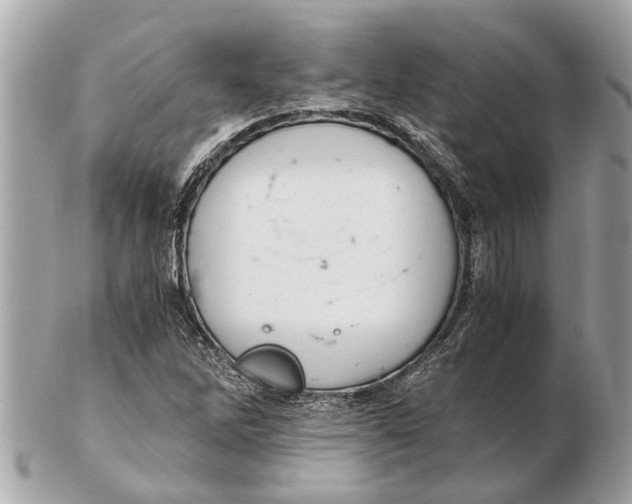 X0000102521262200808291749