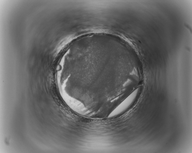 X0000102521263200808291749