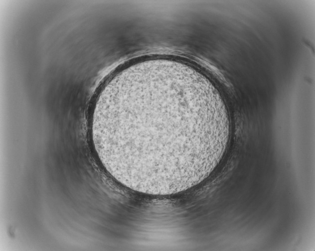 X0000102521264200808291749