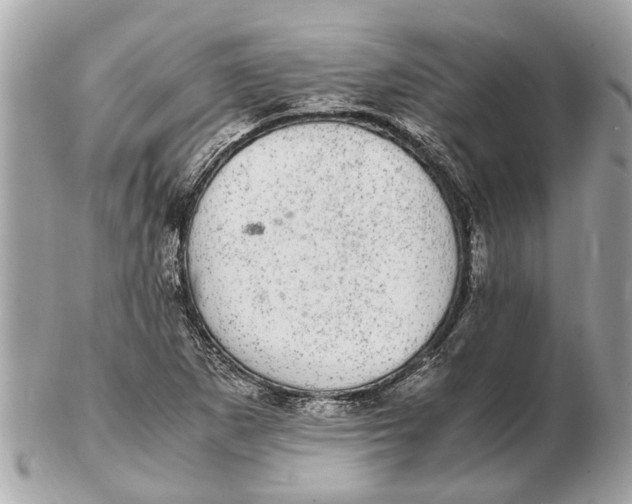 X0000102521265200808291749