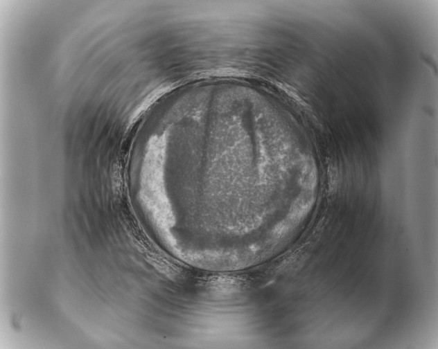 X0000102521266200808291749