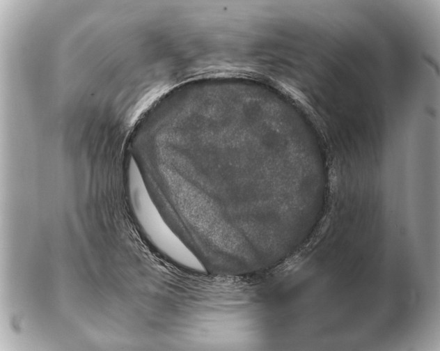 X0000102521267200808291749