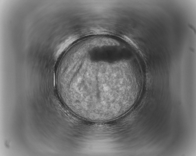 X0000102521269200808291749