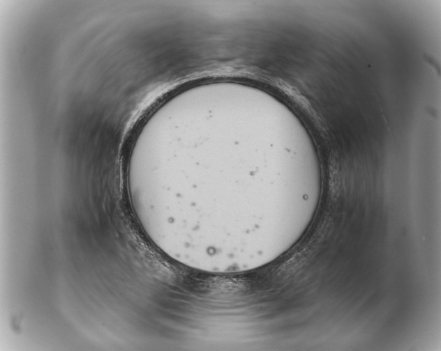 X0000102521270200808291748