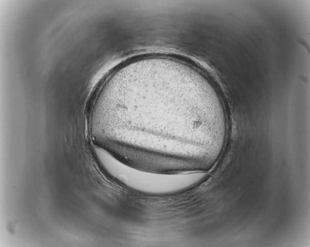 X0000102521271200808291748