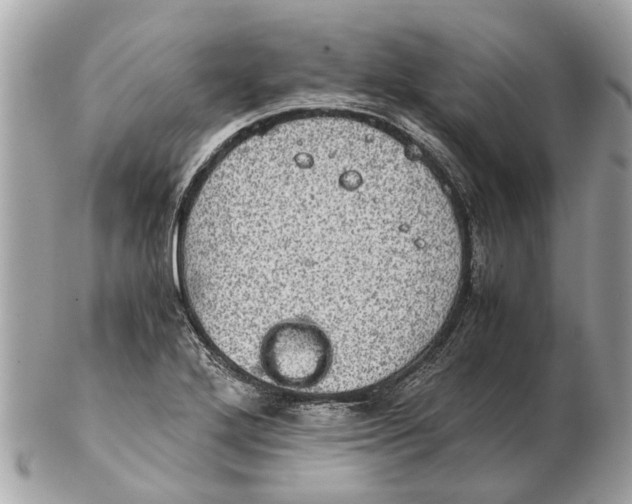 X0000102521272200808291748