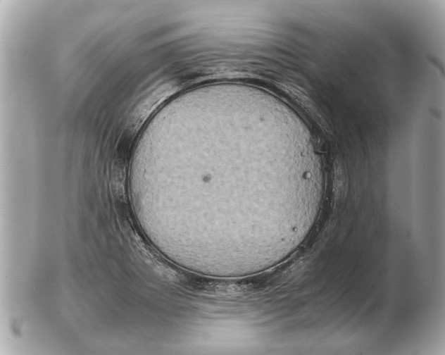 X0000102521273200808291748