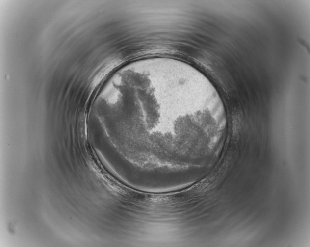 X0000102521274200808291748