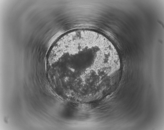 X0000102521275200808291748